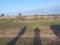 Lot for sale